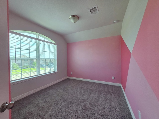 3559 Britton Burrow Way, Richmond, TX 77406 - additional living space featuring carpet floors, baseboards, and lofted ceiling