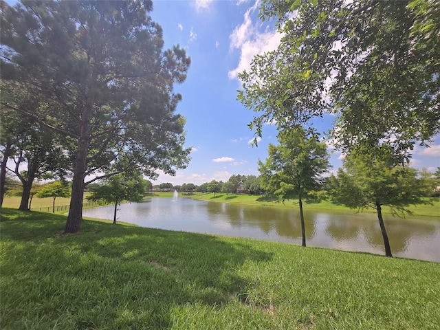 12515 Stoney Creek Dr, Pearland, TX 77584 - water view