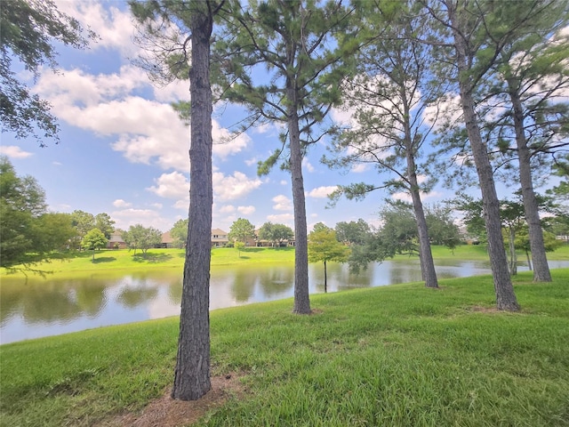 12515 Stoney Creek Dr, Pearland, TX 77584 - water view