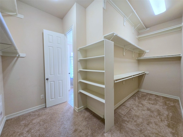 12515 Stoney Creek Dr, Pearland, TX 77584 - walk in closet featuring carpet flooring