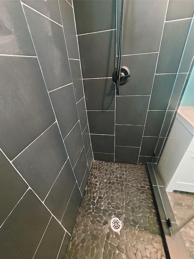 2906 Sledge St, Waller, TX 77484 - full bathroom with stone flooring and a tile shower