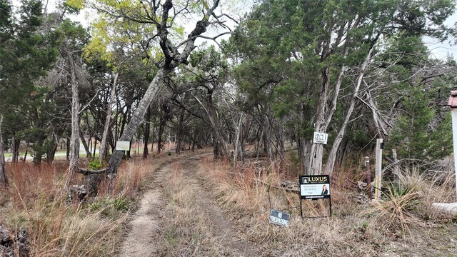 12621 Fitzhugh Rd, Austin, TX 78736 - photo 8