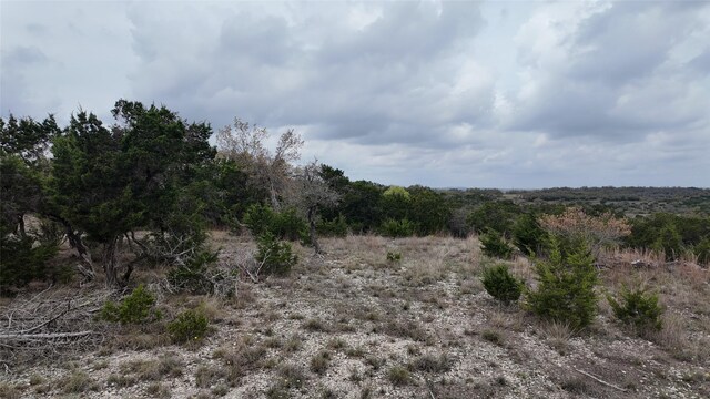 12621 Fitzhugh Rd, Austin, TX 78736 - photo 16
