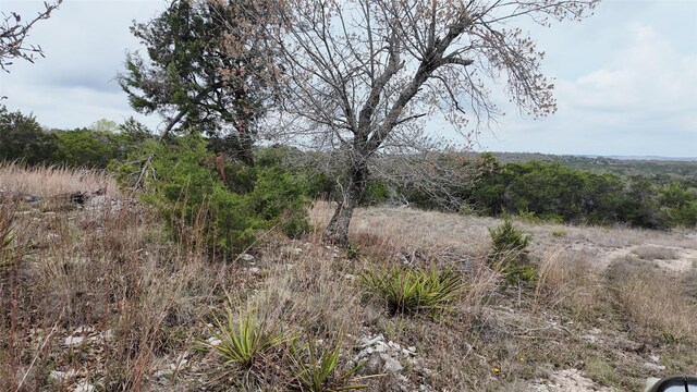 12621 Fitzhugh Rd, Austin, TX 78736 - photo 19