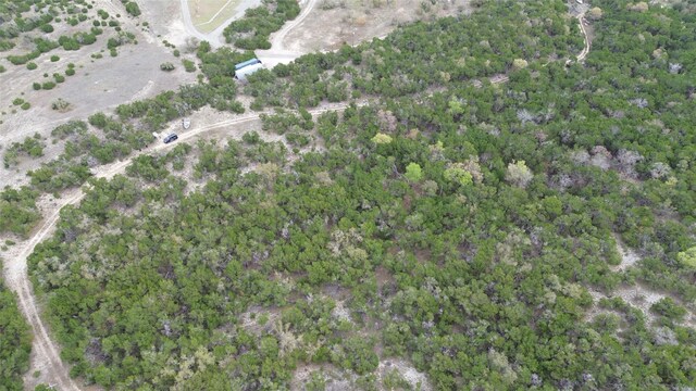 12621 Fitzhugh Rd, Austin, TX 78736 - photo 12