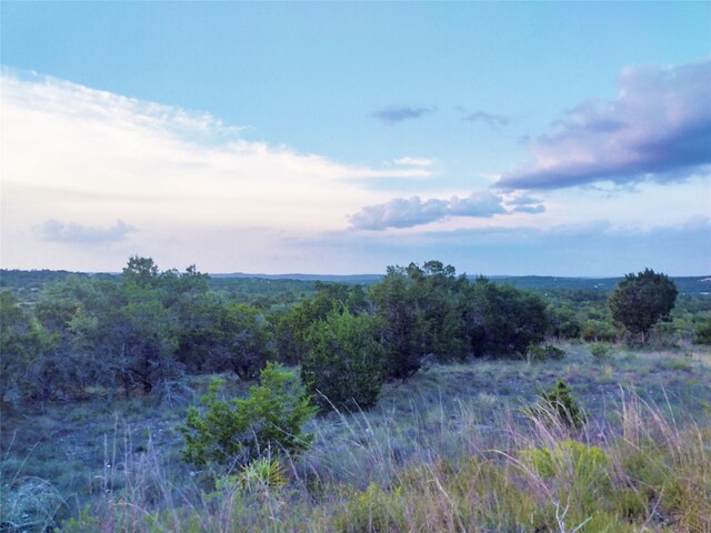 12621 Fitzhugh Rd, Austin, TX 78736 - photo 4