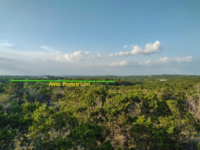 12621 Fitzhugh Rd, Austin, TX 78736 - photo 11