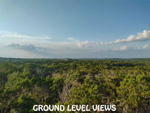 12621 Fitzhugh Rd, Austin, TX 78736 - photo 10