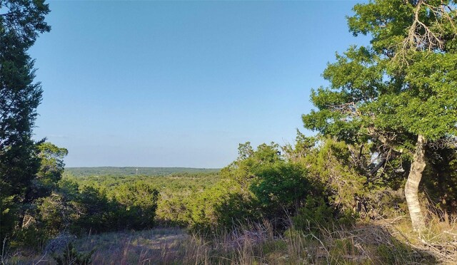 12621 Fitzhugh Rd, Austin, TX 78736 - photo 7