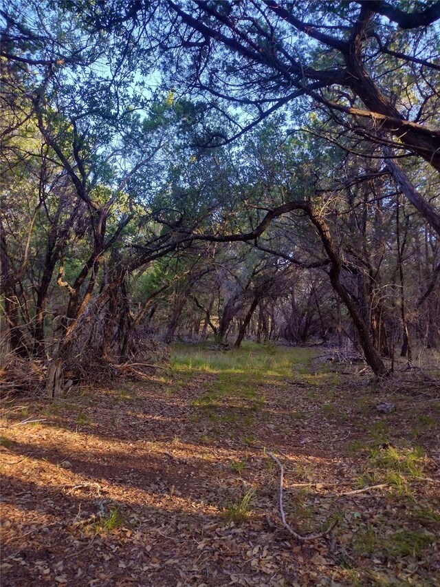 12621 Fitzhugh Rd, Austin, TX 78736 - photo 29