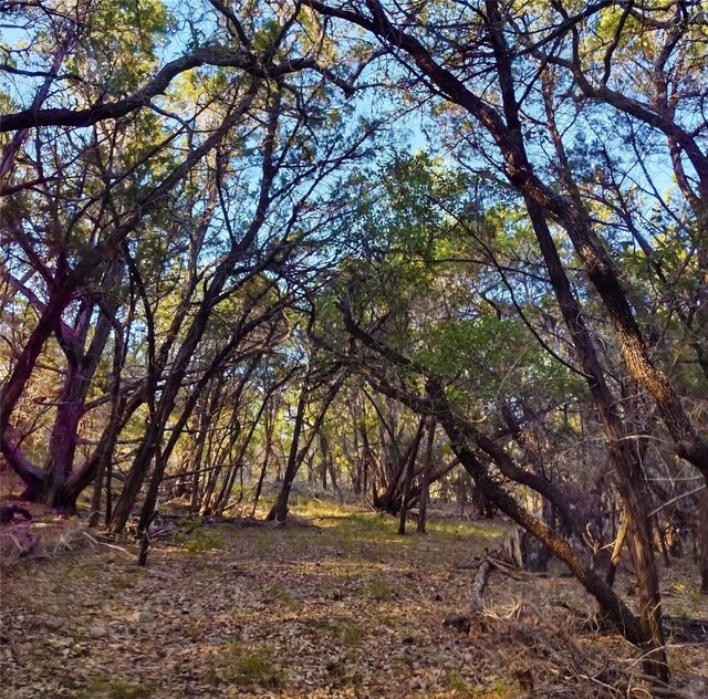 12621 Fitzhugh Rd, Austin, TX 78736 - photo 33