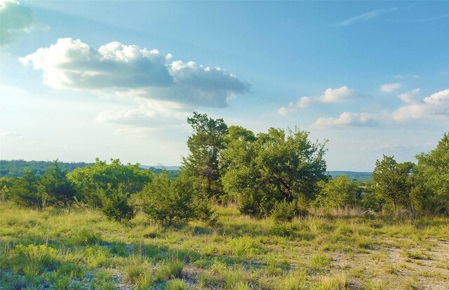 12621 Fitzhugh Rd, Austin, TX 78736 - photo 35