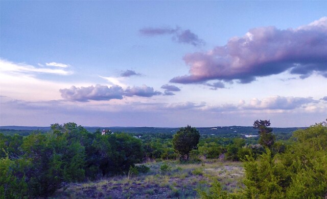 12621 Fitzhugh Rd, Austin, TX 78736 - photo 5
