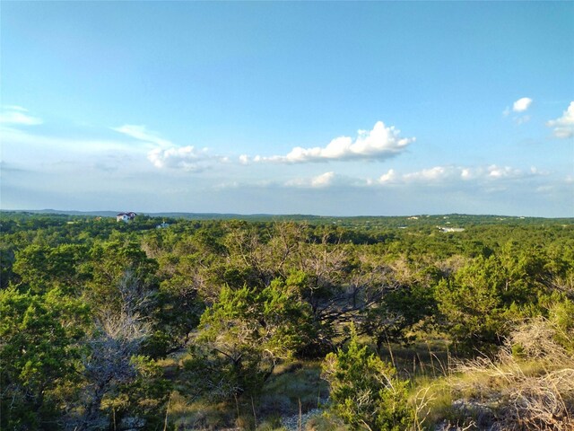12621 Fitzhugh Rd, Austin, TX 78736 - photo 37