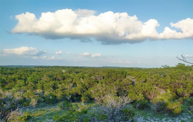 12621 Fitzhugh Rd, Austin, TX 78736 - photo 38