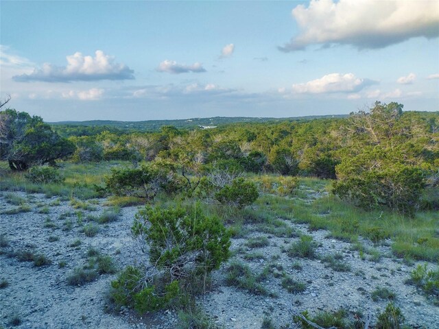 12621 Fitzhugh Rd, Austin, TX 78736 - photo 39