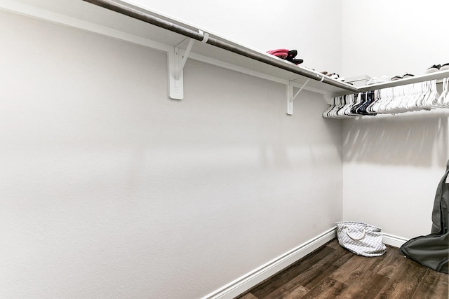 29306 Lovegrass Ct, Katy, TX 77494 - spacious closet with dark wood-type flooring