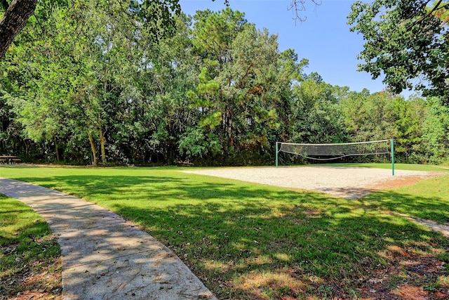 12427 Adams Ridge Ln, Humble, TX 77346 - surrounding community with volleyball court and a yard