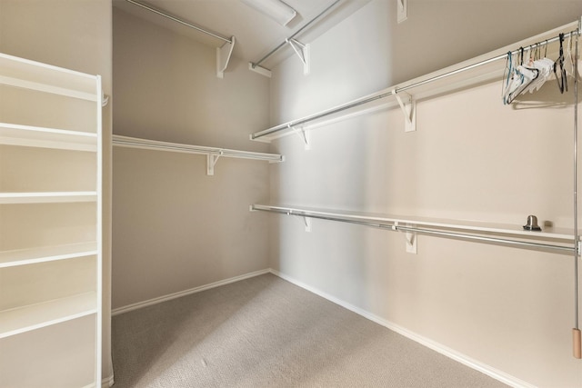 527 Oak Ridge Grove Cir, Spring, TX 77386 - spacious closet with carpet