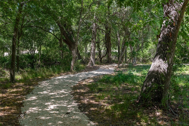 14615 Cedar Elm Ct, Willis, TX 77318 - view of street with a view of trees