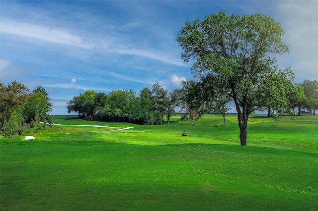 14615 Cedar Elm Ct, Willis, TX 77318 - view of property's community featuring a lawn and view of golf course
