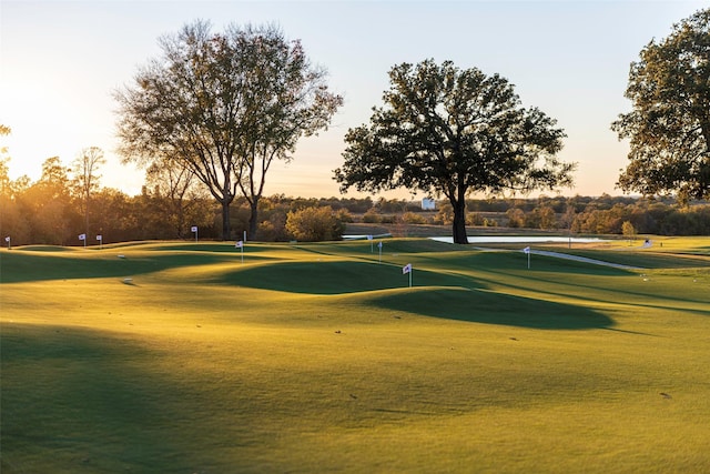 14615 Cedar Elm Ct, Willis, TX 77318 - view of community with golf course view, a putting green, and view of wooded area