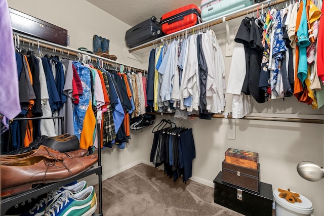 9931 Chimney Swift Ln, Conroe, TX 77385 - walk in closet with carpet flooring