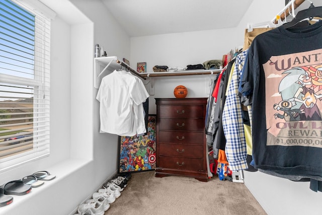 9931 Chimney Swift Ln, Conroe, TX 77385 - walk in closet with carpet flooring