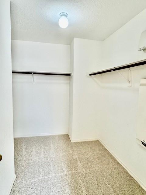 1119 Autumn Green Dr, Missouri City, TX 77459 - spacious closet featuring carpet