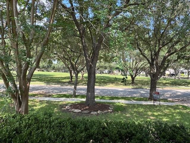 1119 Autumn Green Dr, Missouri City, TX 77459 - view of property's community featuring a lawn