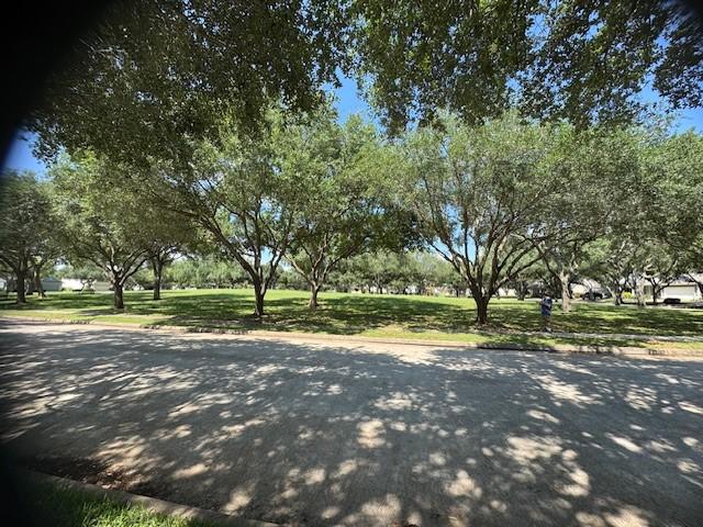 1119 Autumn Green Dr, Missouri City, TX 77459 - view of asphalt road featuring curbs