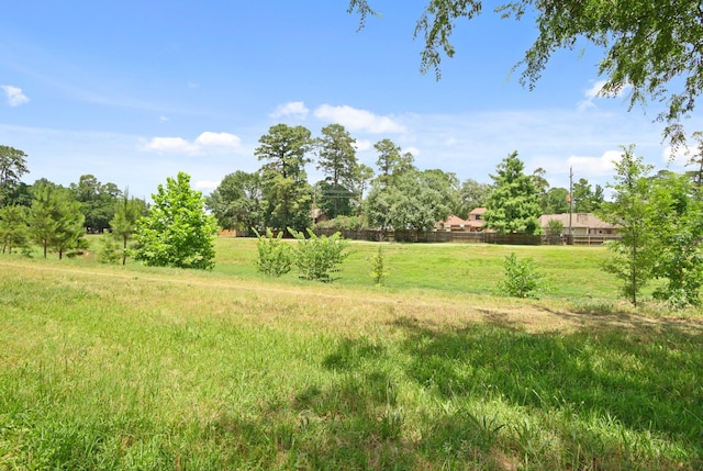 14922 Sandy Creek Dr, Houston, TX 77070 - view of yard