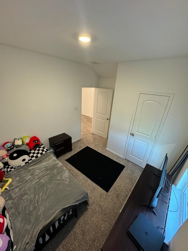 10026 Rose Mallow Ln, Magnolia, TX 77354 - view of carpeted bedroom