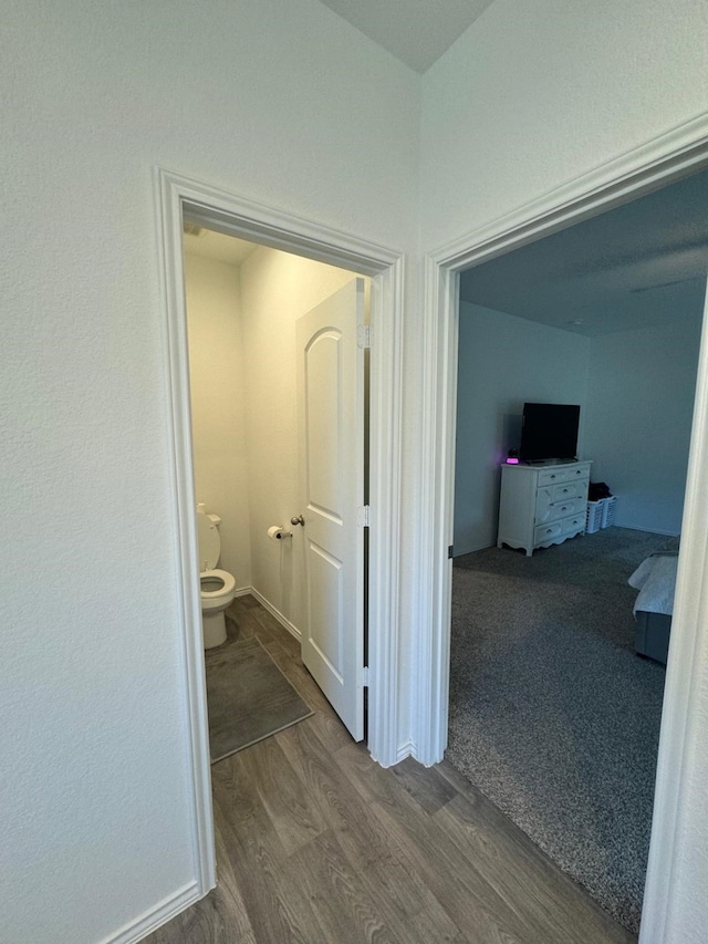 10026 Rose Mallow Ln, Magnolia, TX 77354 - corridor with dark wood-style flooring