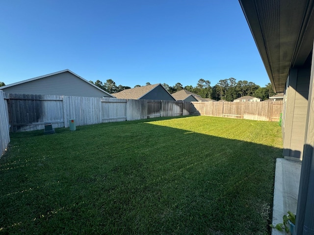 10026 Rose Mallow Ln, Magnolia, TX 77354 - view of yard