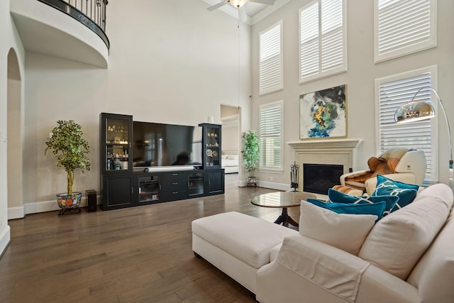 9810 Mount Whitney, Missouri City, TX 77459 - living room featuring a high ceiling, a glass covered fireplace, hardwood / wood-style floors, and baseboards