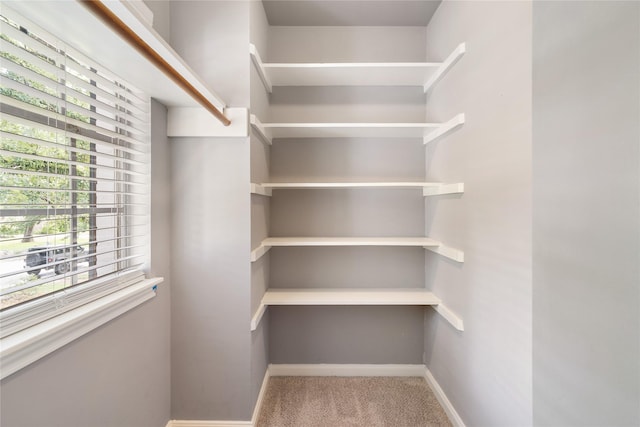 215 Whispering Oaks Dr, Taylor Lake Village, TX 77586 - walk in closet with carpet flooring