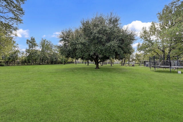 236 Mcfarland Rd, Houston, TX 77060 - view of yard featuring a trampoline