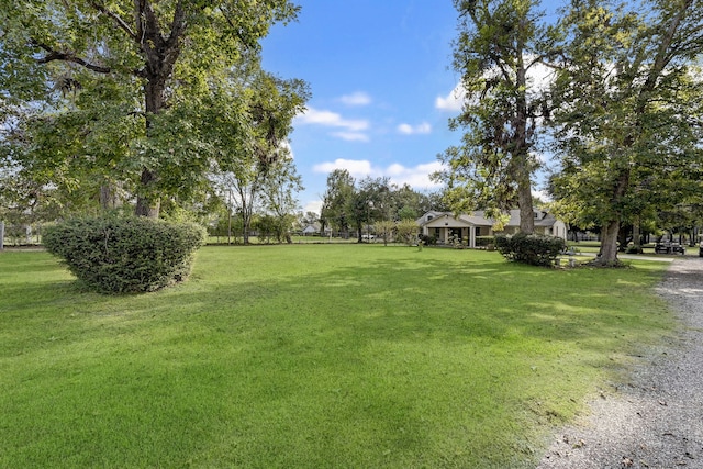 236 Mcfarland Rd, Houston, TX 77060 - view of green lawn