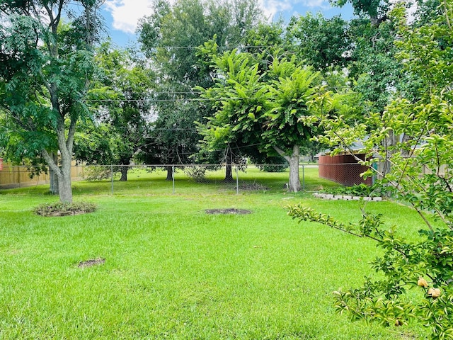 7635 Nordling Rd, Houston, TX 77037 - view of yard