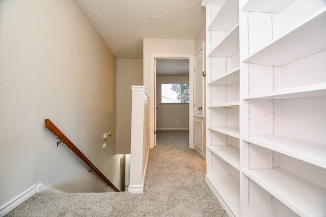 5001 Lamonte Ln Unit 14, Houston, TX 77092 - walk in closet featuring light colored carpet