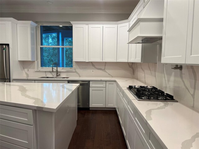 24615 W Kingscrest Cir, Spring, TX 77389 - kitchen featuring appliances with stainless steel finishes, a sink, crown molding, dark wood-style floors, and custom exhaust hood