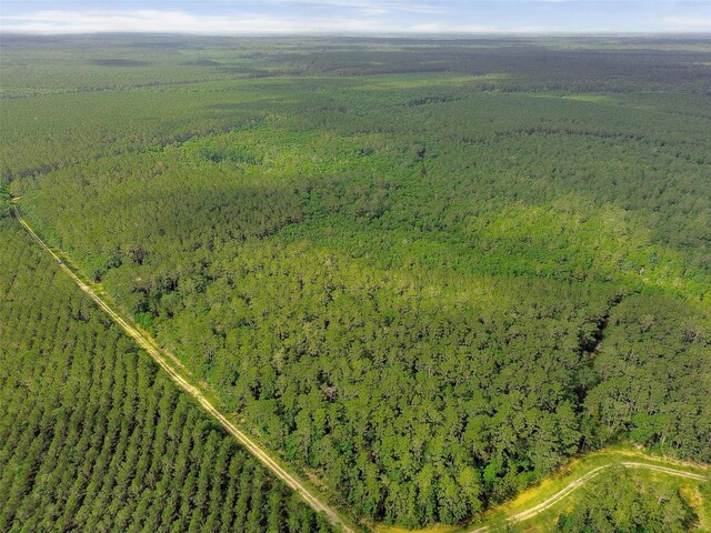 0 Gates Rd, Daisetta, TX 77533