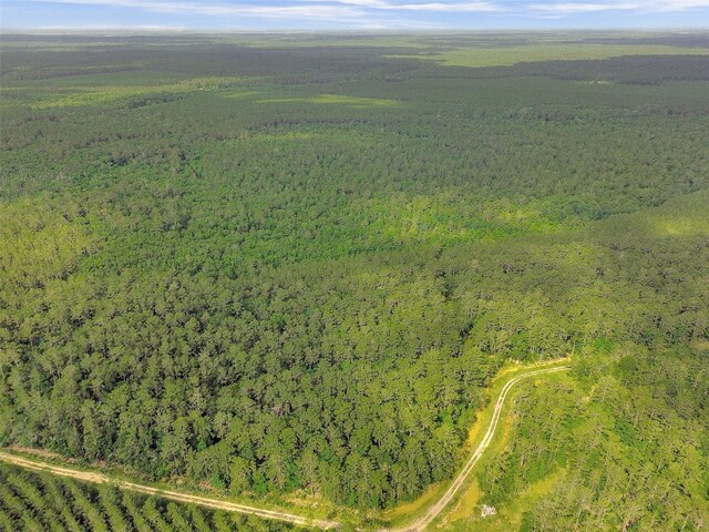 0 Gates Rd, Daisetta, TX 77533