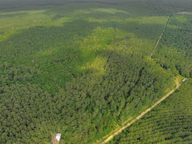 0 Gates Rd, Daisetta, TX 77533