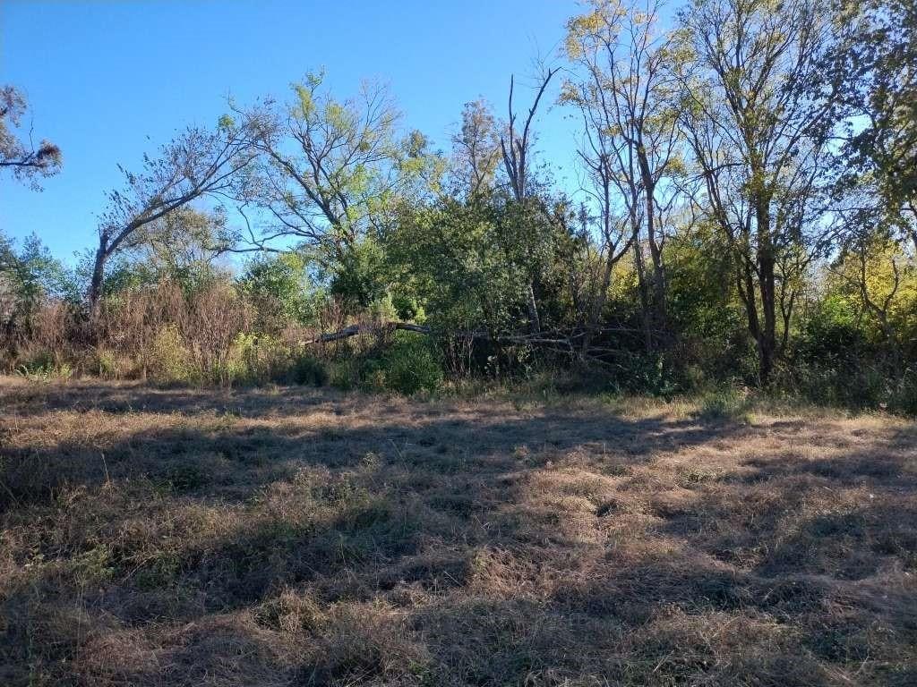 707 E Broadway St, Winnsboro, TX 75494