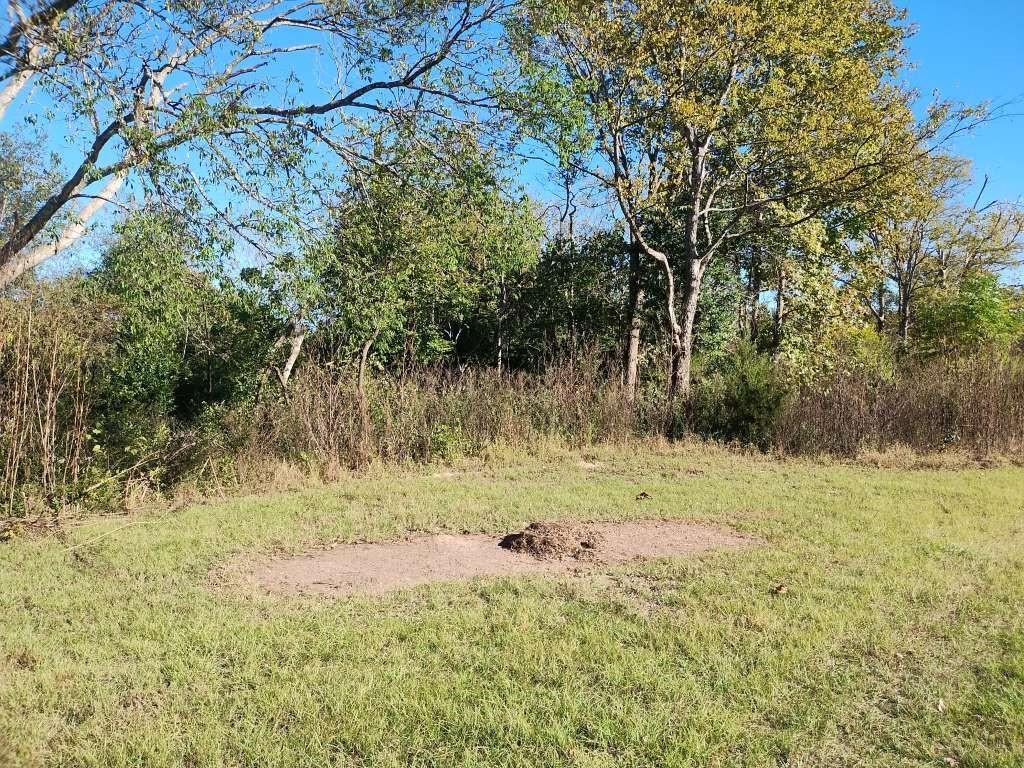 707 E Broadway St, Winnsboro, TX 75494