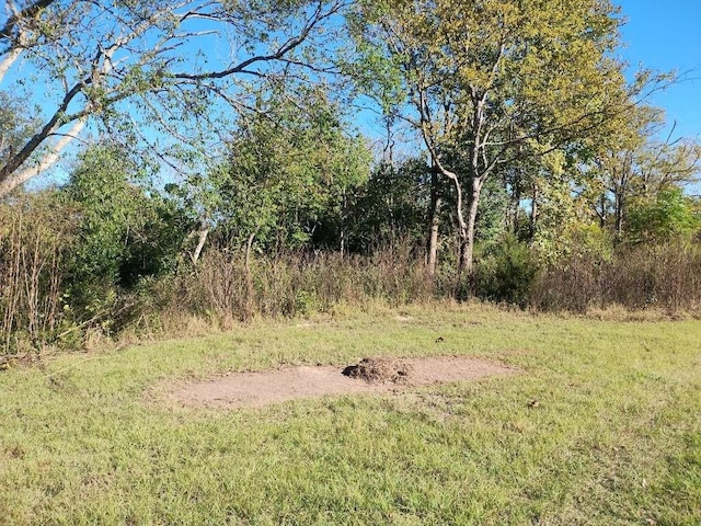 707 E Broadway St, Winnsboro, TX 75494