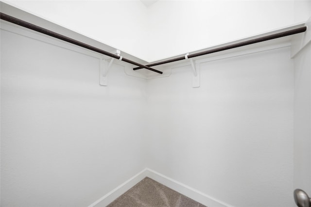15711 Autumn Sun Ct, Conroe, TX 77302 - walk in closet featuring carpet