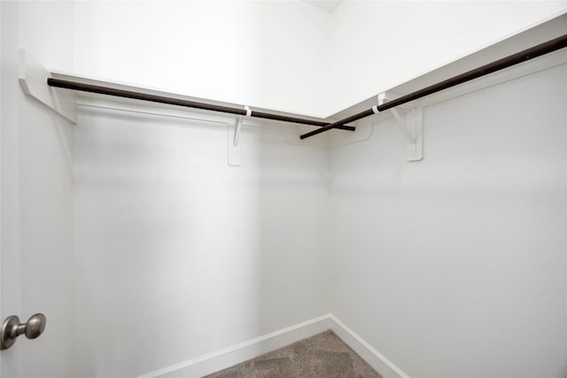 15711 Autumn Sun Ct, Conroe, TX 77302 - walk in closet featuring carpet